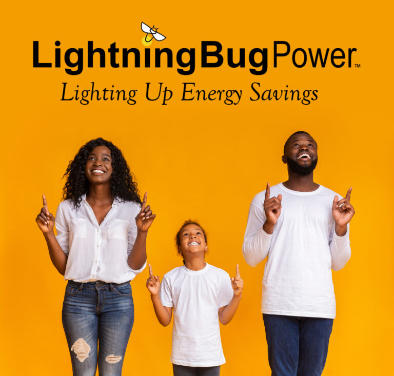 LightningBugPower.com - 20 Plus Years of Experience for Affordable Electricity Service in Texas!